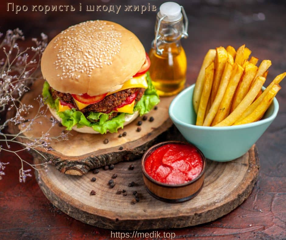 Про користь і шкоду жирів