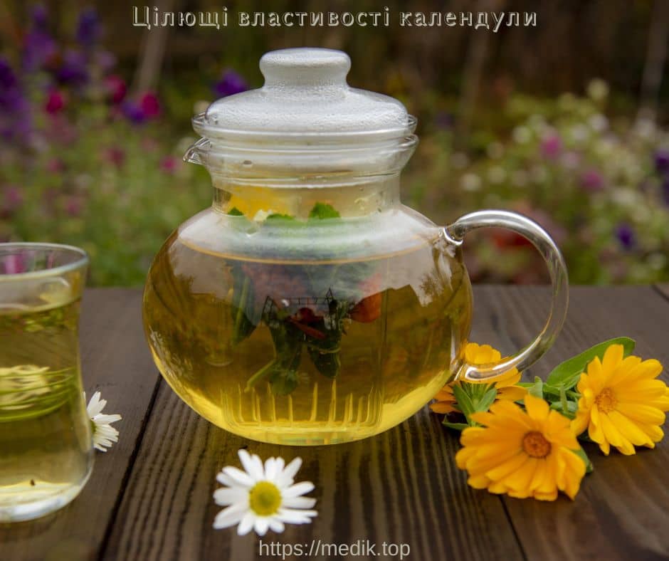 Цілющі властивості календули лікарської або нагідок Цілющі властивості календули лікарської або нагідок