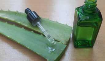 Олія Алое: готуємо в домашніх умовах