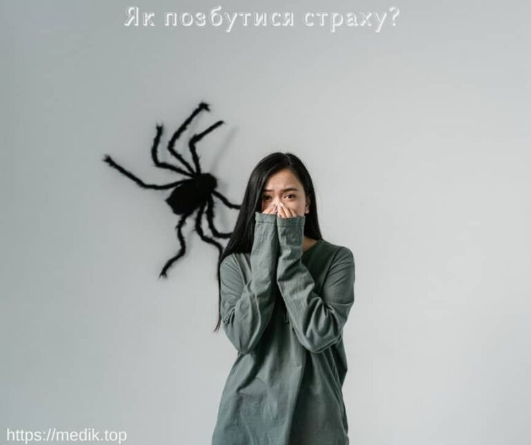 Як позбутися страху? 4 Як позбутися страху, що таке фобія, страх перед павуками, офідіофобія, страх змій, панічний страх висоти, страх облисіння, страх грози, страх крові, страх водіння