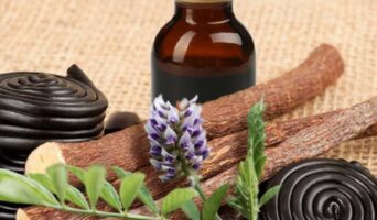 Солодець голий або солодкий корінь голий