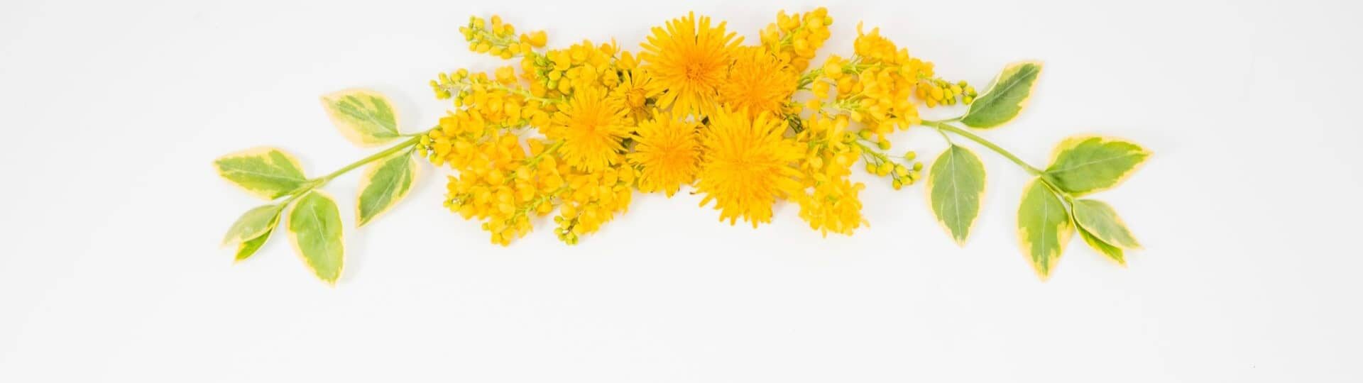 Здоровенькі були!