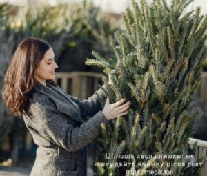 Цілюща хвоя ялинки: не викидайте ялинку після свят