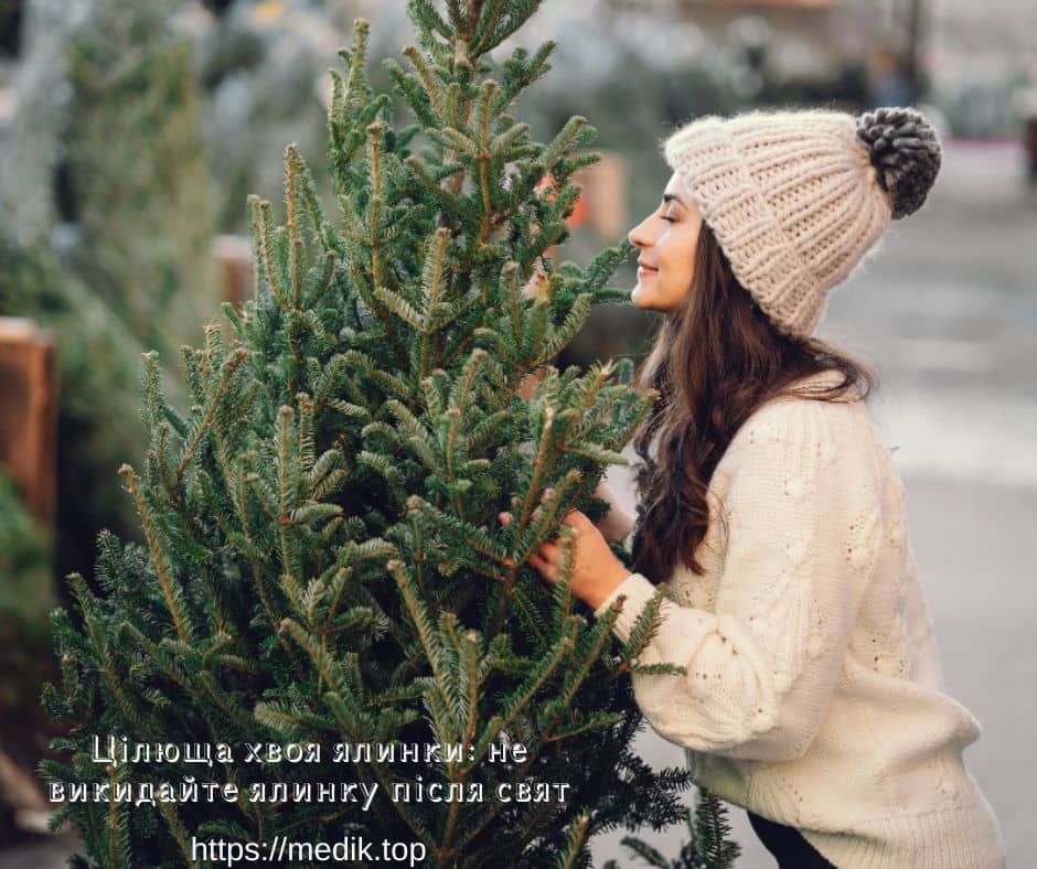 Цілюща хвоя ялинки: не викидайте ялинку після свят Цілюща хвоя ялинки: не викидайте ялинку після свят