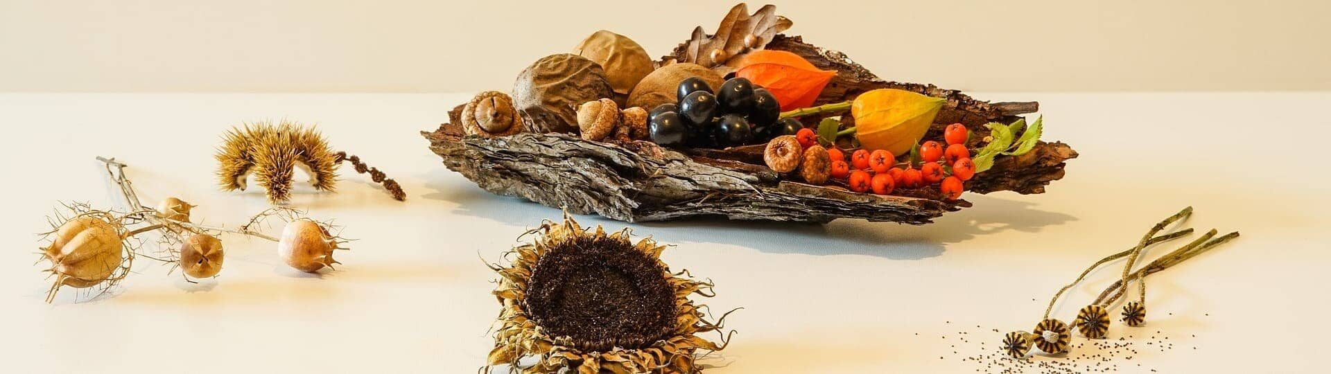 Пижмо в народній медицині