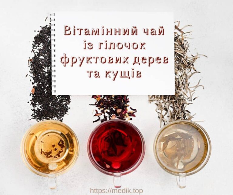 Вітамінний чай із гілочок фруктових дерев та кущів 8 Вітамінний чай із гілочок фруктових дерев та кущів