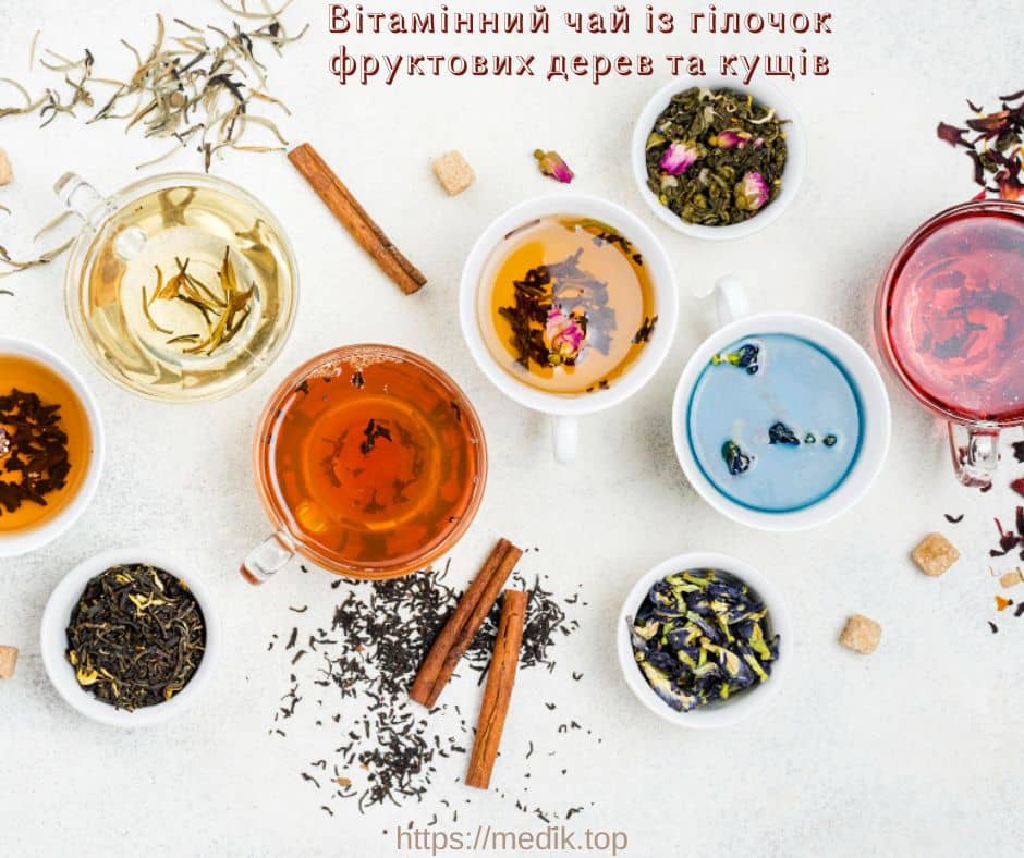 Вітамінний чай із гілочок фруктових дерев та кущів Вітамінний чай із гілочок фруктових дерев та кущів